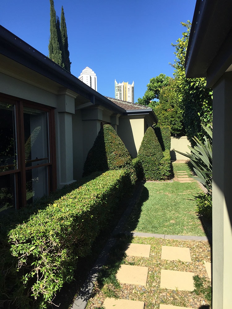 Lawn mowing garden care continuous cleaning co-min